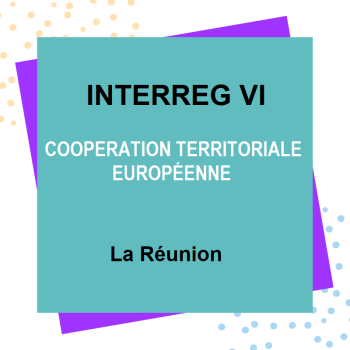 Bouton_InterregVI_EB