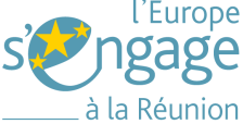 EUS_Logos2022_Regions_RVB_LaReunion_BleuJaune_HD-EB