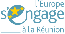 EUS_Logos2022_Regions_RVB_LaReunion_BleuJaune_HD-EB1