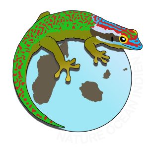 Gecko vert de Manapany